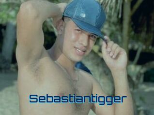 Sebastiantigger