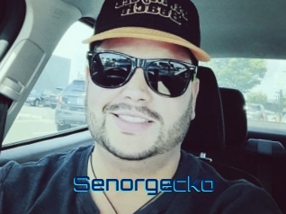 senorgecko Vidéos de Cul FR