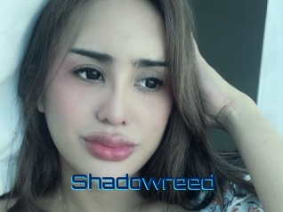 shadowreed Vidéos de Cul FR