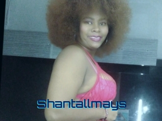 Shantallmays