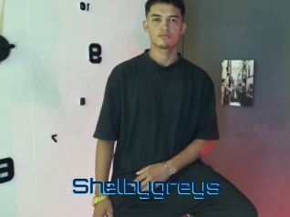 Shelbygreys