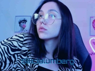 Silicialumberg