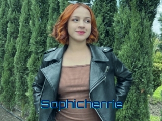 Sophicherrie