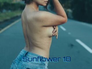 Sunflower_18