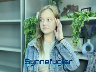 Synnefugler
