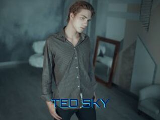 TEO_SKY