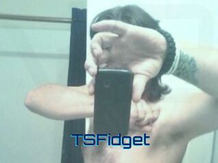 TSFidget
