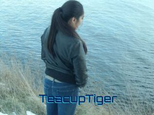 TeacupTiger Vidéos de Cul FR