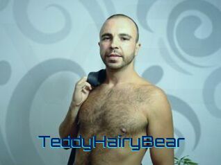 TeddyHairyBear
