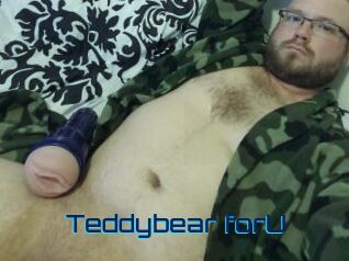 Teddybear_forU