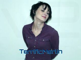 TerrificMerlin