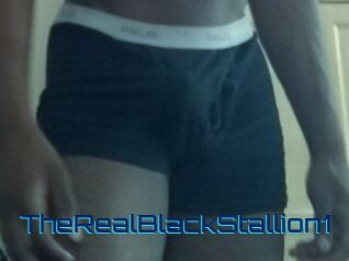 TheRealBlackStallion1