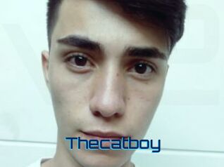 Thecatboy