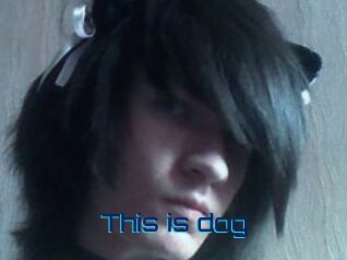 This_is_dog