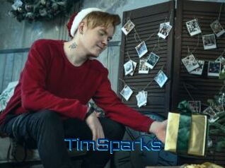 TimSparks