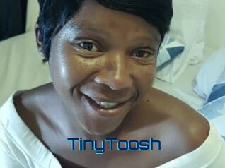 TinyToosh