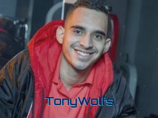TonyWolfs