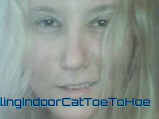 TravellingIndoorCatToeToHoe