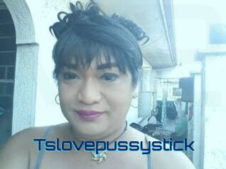 Tslovepussystick