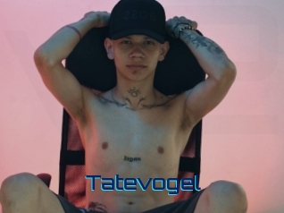 Tatevogel
