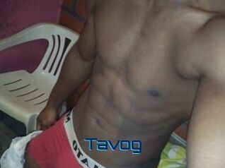 Tavog