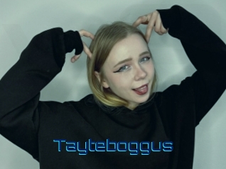 Tayteboggus