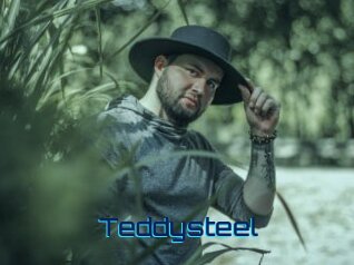Teddysteel