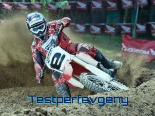 Testperfevgeny