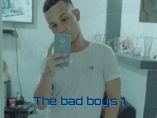 The_bad_boys_1