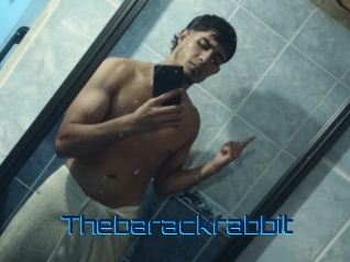 Thebarackrabbit