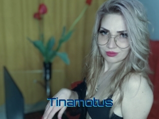 tinamotus Vidéos de Cul FR