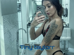 Tiny_taylorr