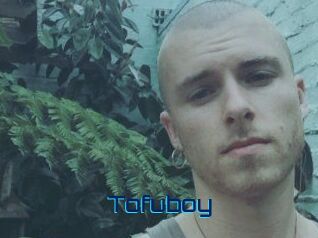 Tofu_boy