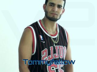 tommyfellow Vidéos de Cul FR