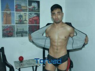 Torusd