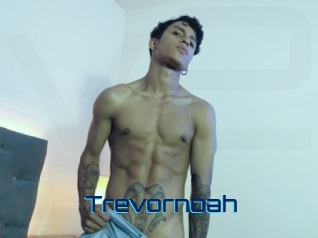 trevornoah Vidéos de Cul FR