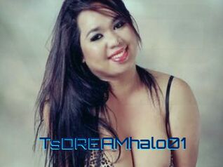 TsDREAMhalo01