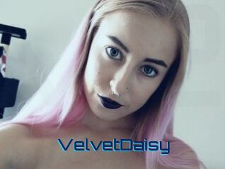VelvetDaisy