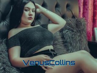 VenusCollins