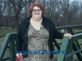 VenusOfUrbino