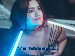 vanessascot Vidéos de Cul FR