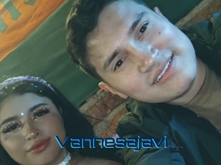 Vannesajavi