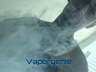 vapor_genie Vidéos de Cul FR