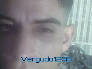 Vergudo1235
