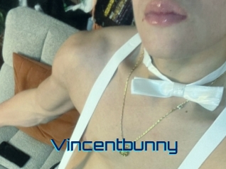 Vincentbunny