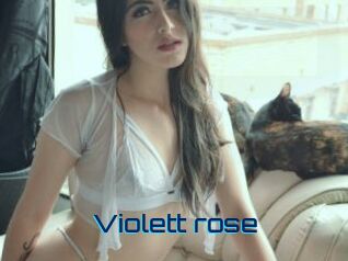 Violett_rose