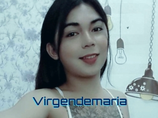 Virgendemaria