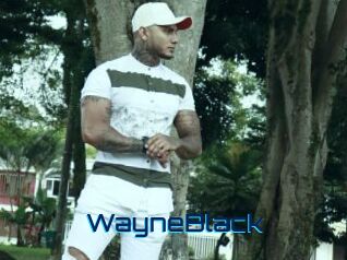 WayneBlack Vidéos de Cul FR