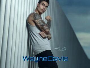 WayneDavis