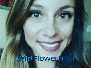 WildFlower023